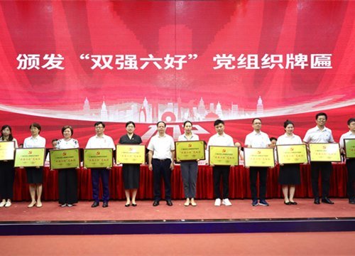 集团党支部连续2年获评广州市非公有制经济组织“双强六好”党组织